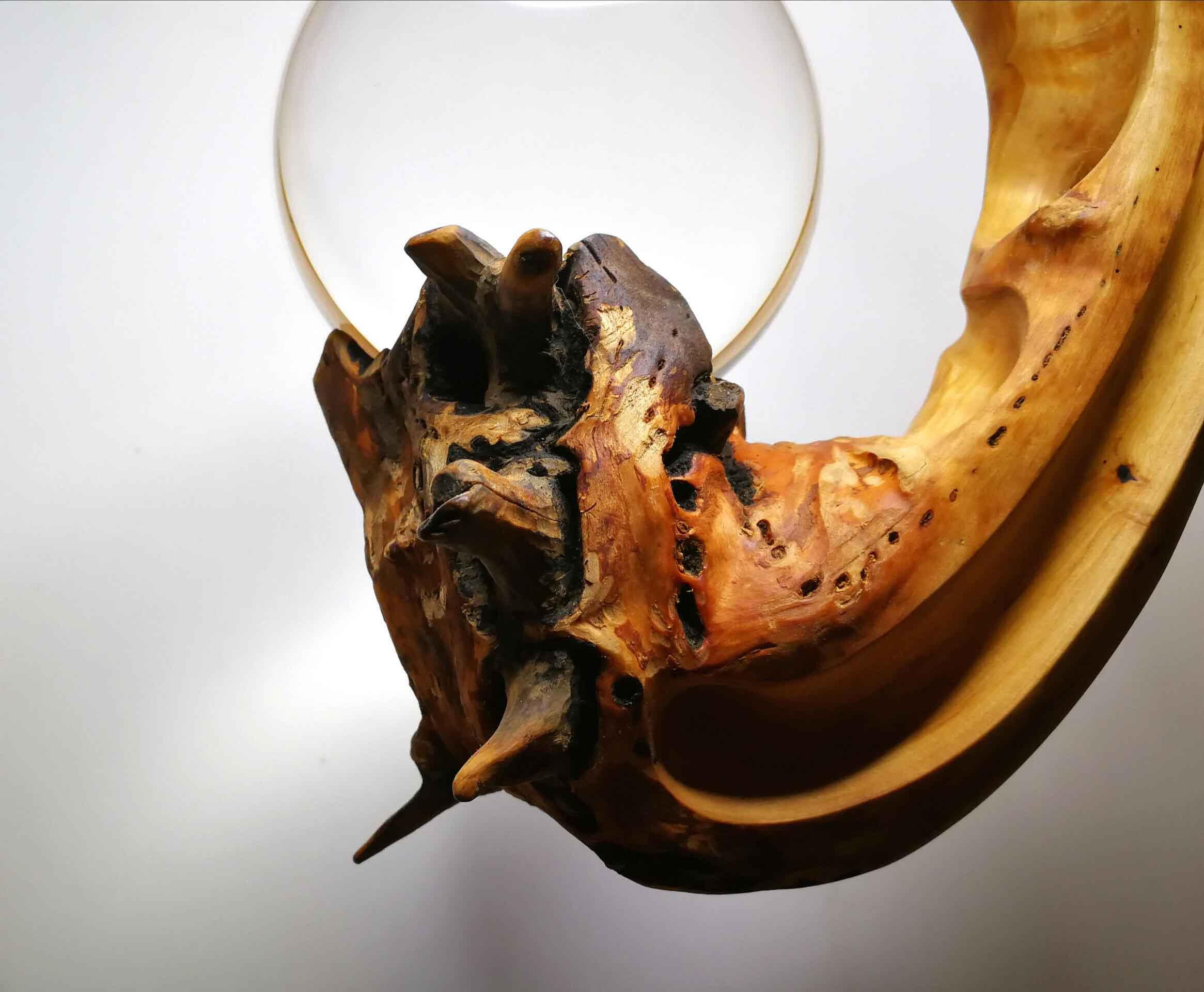 MAYPOLE SYMBIOSIS 2021